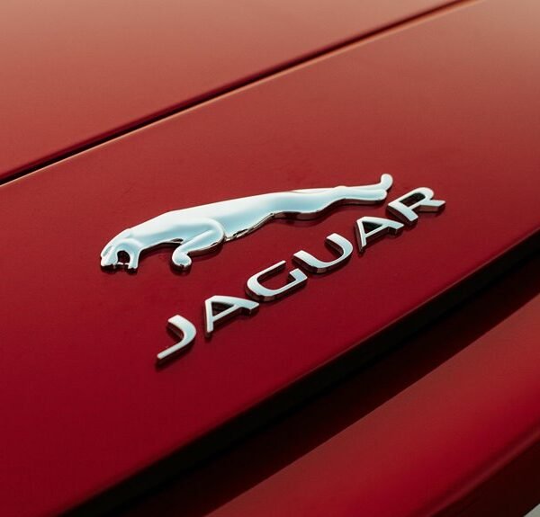 f nborstw product features guide