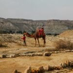 fix folpzo333 bug guide