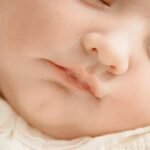 gespost key features overview